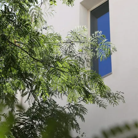 Πανσιόν Patio Do Tijolo